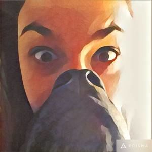 Meet your Posher, Noelle